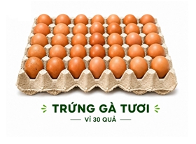 Trứng gà công nghiệp tươi vỉ 30 quả – Tiện lợi, tiết kiệm cho nhu cầu sử dụng thường xuyên