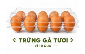 Trứng gà công nghiệp tươi vỉ 10 quả – Tiện lợi cho bữa ăn hằng ngày